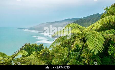 A New Zealand nature scene, with tree ferns and other lush green trees and bushes, overlooking the Tasman Sea and the South Island west coast on a rai Stock Photo