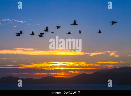 Sunset in Pacific Ocean, San Francisco Bay Area Stock Photo