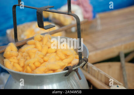 yellow silkworm cocoon shell for making thread producing Thai silk fabric textile Stock Photo
