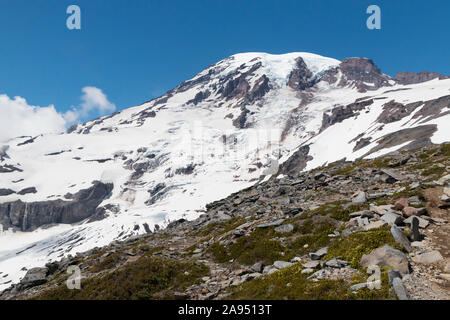 Landscape view looking up at Mount Rainier from in the National Park in Washington. Stock Photo