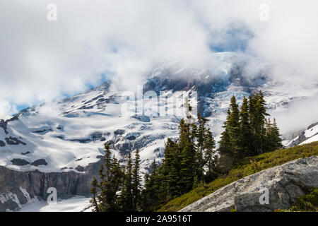Landscape view looking up at Mount Rainier from in the National Park in Washington. Stock Photo