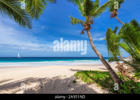 Coconut palm trees on paradise beach and a sailing boat in blue sea Stock Photo