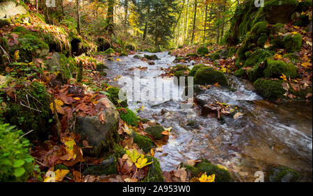 waterfalls called ' Edelfrauengrab' in Ottenhoefen in the Black forest in germany Stock Photo