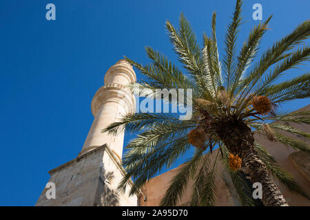 Chania, Crete, Greece. Palm tree and minaret of the Greek Orthodox Church of Agios Nikolaos, formerly a mosque. Stock Photo