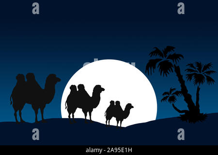 Three silhouette of camels across desert with moonlight blue sky at night. Stock Photo