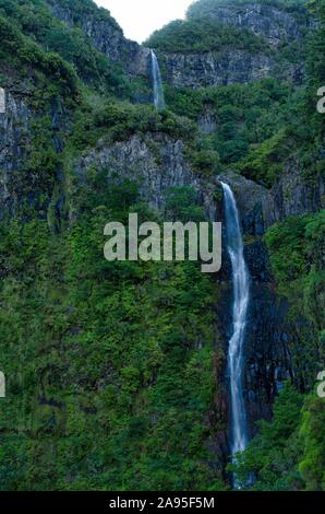 Cascata do Risco, Risco waterfall, in Laurisilva laurel forest, Rabacal nature reserve, Madeira Island, Portugal Stock Photo