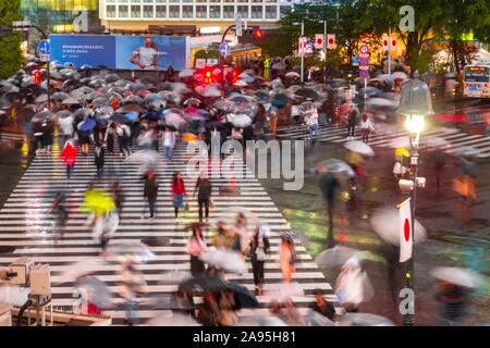 Crowd with umbrellas on zebra crossings at night, crossing Shibuya Crossing, Shibuya, Tokyo, Japan Stock Photo