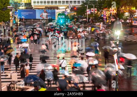 Crowd with umbrellas on zebra crossings at night, crossing Shibuya Crossing, Shibuya, Tokyo, Japan Stock Photo