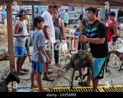 Morning market scene at the goat section of the Livestock Auction Market in Padre Garcia, Batangas, Philippines. May 03, 2019 Stock Photo