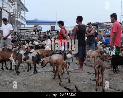 Morning market scene at the goat section of the Livestock Auction Market in Padre Garcia, Batangas, Philippines. May 03, 2019 Stock Photo