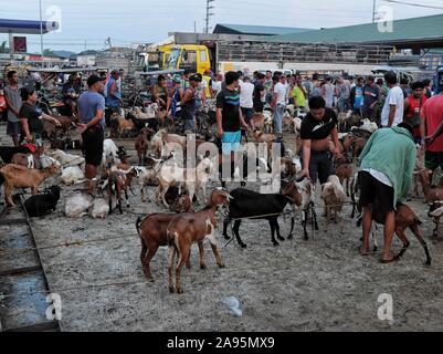 Morning market scene at the goat section of the Livestock Auction Market in Padre Garcia, Batangas, Philippines. May 03, 2019 Stock Photo