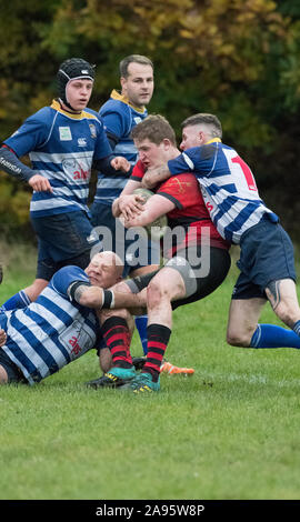 English amateur rugby union palyers in a tackle. Stock Photo