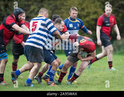 English amateur rugby union palyers in a tackle. Stock Photo