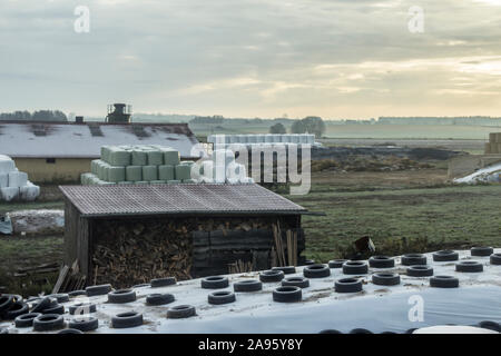 Early morning . Cylindrical silo bales and silo pits stacked in a pyramid. Against the background of a dairy farm. Podlasie, Poland. Stock Photo