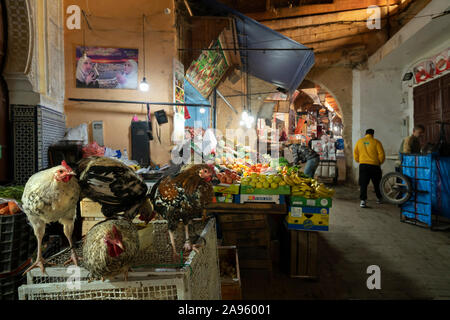 Fez, Morocco. November 9, 2019.  some hens for sale in the Medina in front of the blue gate in the background Stock Photo