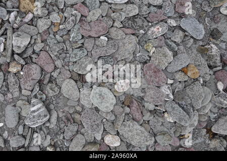 wet pebbles on the beach Stock Photo