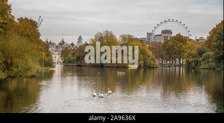 Autumn view from St. James's Park, London, UK, London with the London Eye in the background. Stock Photo