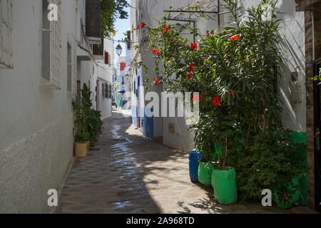 Asilah, Morocco-September 10, 2019: Narrow old street  in the medina of Asilah, Morocco Stock Photo