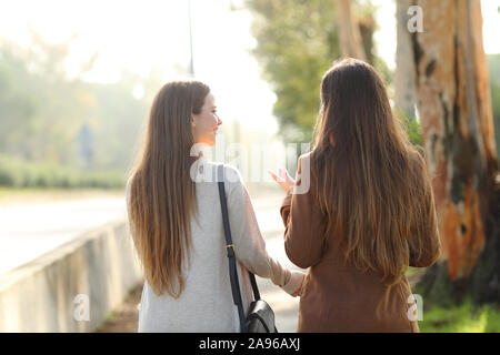 Back view portrait of two women walking and talking in a park asunny day