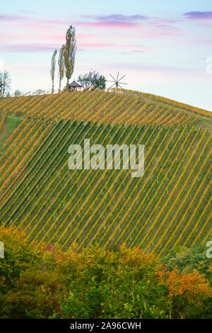 Vineyards in autumn in Slovenia close to the border with Austria south styria. Stock Photo