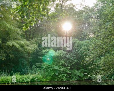 a summer evening in the park, Bremen, Germany Stock Photo