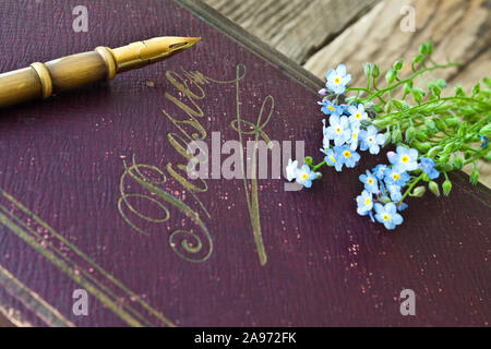 Old book with feather and flowers Stock Photo