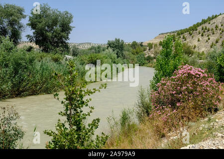 River Genil at Jauja, Cordoba Province, Andalucia, Spain Stock Photo