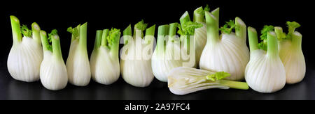 Fresh fennel bulbs against black slate background Stock Photo