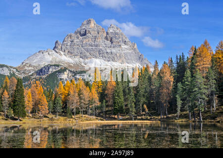 Mountain Drei Zinnen and larch trees in autumn colours around Lake Lago d'Antorno in the Tre Cime Natural Park, Dolomites, South Tyrol, Italy Stock Photo