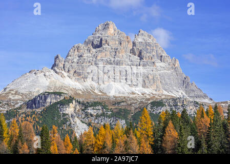 Southside of the mountain Drei Zinnen / Tre Cime di Lavaredo and larch trees in the Tre Cime Natural Park in autumn, Dolomites, South Tyrol, Italy Stock Photo