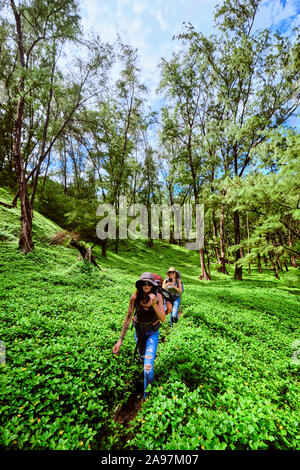 Backpackers hike through the Pololu Valley on the Big Island, Hawaii Stock Photo