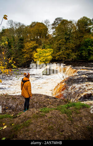 A woman in a mustard coloured coat and woolly hat stands by the torrent of water at Aysgarth Falls, North Yorkshire, England, UK Stock Photo