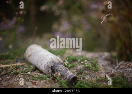 Old empty beer bottle wallowing on a river beach. Environmental pollution. Stock Photo