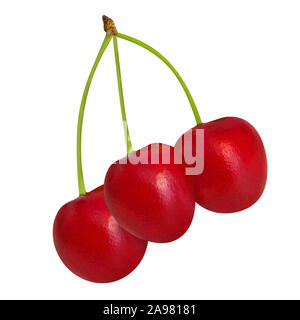Three Cherries isolated against white background Stock Photo