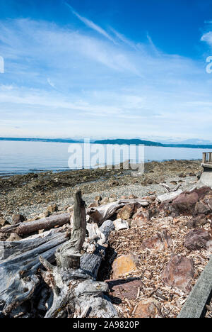 Driftwood on Alki Beach in West Seattle. Stock Photo