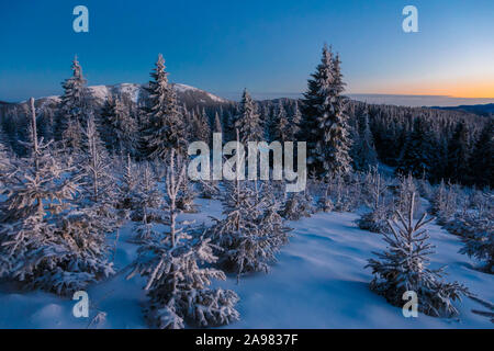 Fantastic evening landscape with dramatic winter scene with snowy trees. Carpathians, Romania, Transylvania Stock Photo
