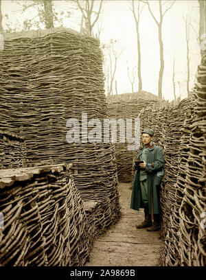 Austrian soldier in a trench on the eastern front, which has bee secured with fascines (rough bundle of brushwood). World War I. Russian Empire 1915. Colored Photo Stock Photo