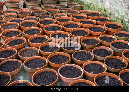 Pots ready and planted seedlings for new season stock Stock Photo