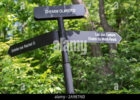 Trails at Mont Royal Park in summer, Plateau Mont Royal, Montreal, Quebec, Canada Stock Photo