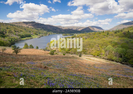 The bluebells from Loughrigg Terrace overlooking Grasmere in May, Lake District, UK Stock Photo