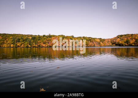 Autumn trees reflected in a lake in the Mont-St-Bruno National Park. Stock Photo