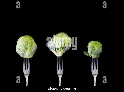 Banner with three different brussel sprouts on forks and black background Stock Photo