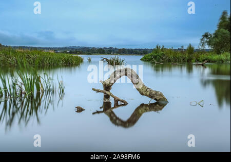 Lough Neagh Northern Ireland Stock Photo