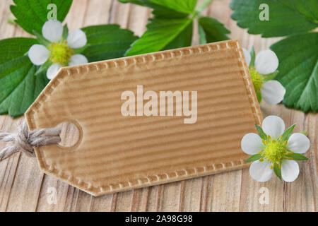 Strawberries plant and blossoms with label Stock Photo
