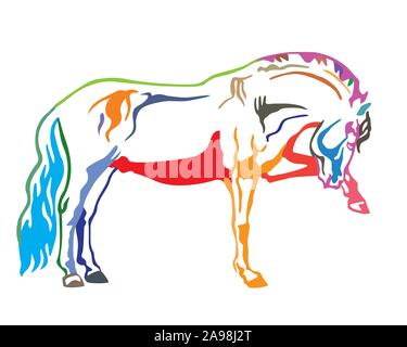 Colorful decorative portrait of horse standing in profile, horse exterior. Vector isolated illustration in different colors on white background. Image Stock Vector