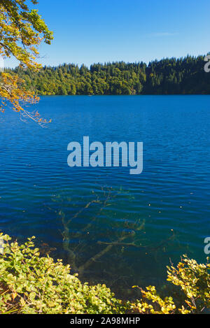 view of Pavin lake in Auvergne, volcanic lake, Puy-de-Dome; France Stock Photo