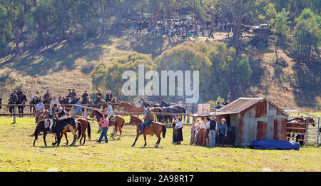 CORRYONG, VICTORIA, AUSTRALIA - APRIL 5TH 2019: The Man From Snowy River Bush Festival re-enactment, riders on horseback herd wild horses to homestead Stock Photo