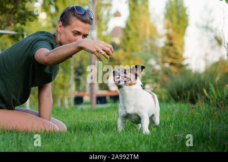 Attractive girl walk the dog. Jack Russell Terrier. Having fun playing in outdoors. Playful mood. Enjoying freedom. Friends together. Concepts of frie Stock Photo