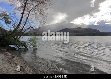 Glendhu Bay is a small settlement on Lake Wanaka in Otago, New Zealand.  The bay has a motor camp, and is a short drive west from Wanaka. Stock Photo