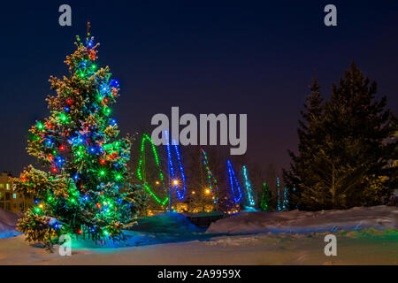 a row of snowy coniferous and foliage trees decorated with lights for the New Year and Christmas, winter evening, in the distance multi-storey buildin Stock Photo